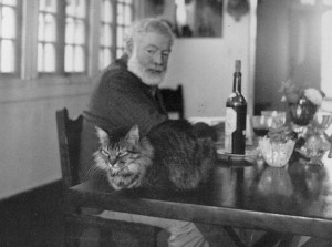 Hemingway-writing-plans